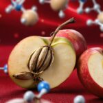 Les pépins de pomme : un danger insoupçonné pour votre santé