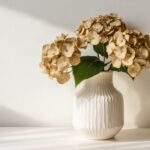 Astuces efficaces pour sécher les hortensias et profiter de leur beauté en décoration durable