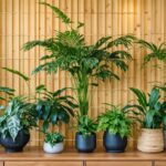 Le taux d’humidité parfait pour un intérieur sain