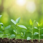 L’adblue : un potentiel inattendu comme désherbant ?